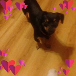 Meet your Posher, Jo